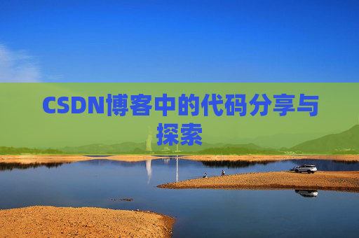 CSDN博客中的代码分享与探索